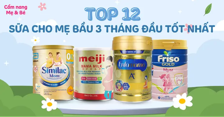 Top 12 Sữa Cho Bà Bầu 3 Tháng Đầu Tốt Hiện Nay Giúp Bé Phát Triển