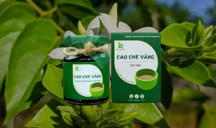 3cách Sử Dụng Chè Vằng An Toàn, Hiệu Quả Cho Mẹ Sau Sinh