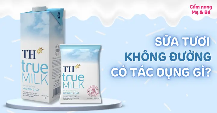 Uống Sữa Tươi Không Đường Có Tác Dụng Gì? Nên Uống Lúc Nào? Uống Sữa Tươi Không Đường Có Tác Dụng Gì? Nên Uống Lúc Nào?