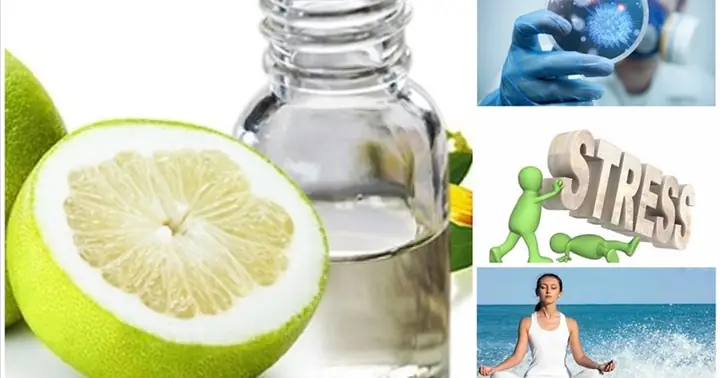 Những Tác Dụng Không Ngờ Của Tinh Dầu Bưởi Đối Với Sức Khỏe