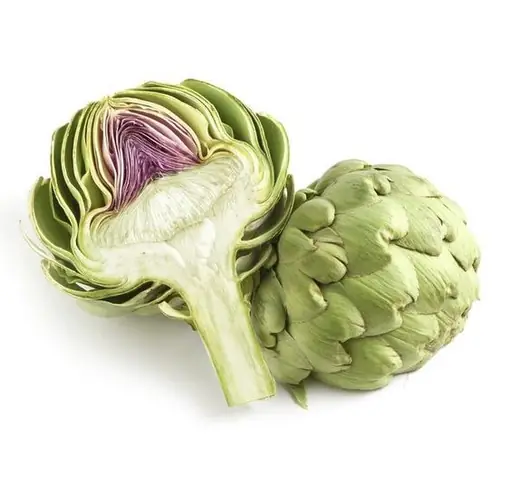 Tổng Quan Về Trà Túi Lọc Atiso