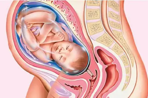 Sá»± Thay Äá»i Cá»§a Máº¹ Báº§u Khi Thai Nhi 39 Tuáº§n