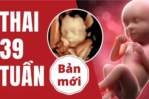 Thai 39 Tuáº§n Lã Máº¥y Thã¡ng?