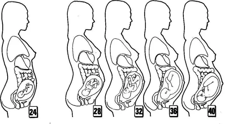 Thai Nhi Quay Đầu Ở Thời Điểm Nào Thai Kỳ?