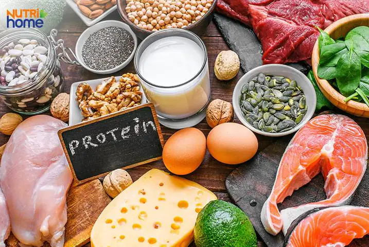 Mẹ Bầu 3 Tháng Đầu Nên Ăn Thực Phẩm Giàu Protein Mẹ Bầu 3 Tháng Đầu Nên Ăn Thực Phẩm Giàu Protein