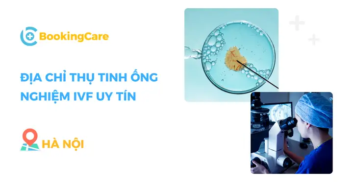 11 Địa Chỉ Thụ Tinh Ống Nghiệm Ivf Uy Tín Tại Hà Nội