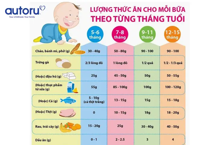 Giai Đoạn Ăn Dặm Chính Thức (7-12 Tháng)