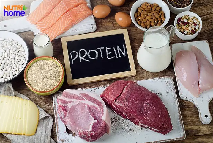 Các Loại Thực Phẩm Giàu Protein