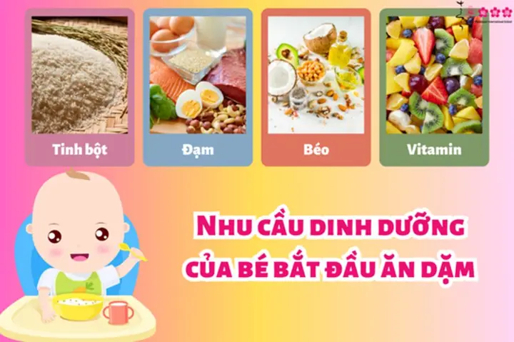 Nhu Cầu Dinh Dưỡng Của Bé Bắt Đầu Ăn Dặm