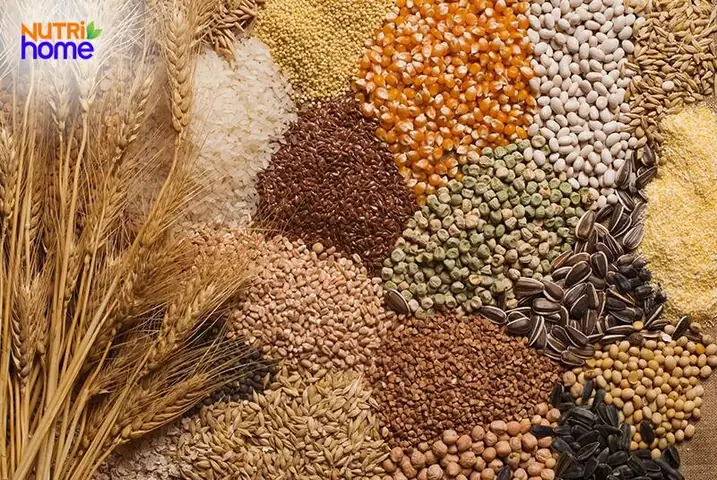 Ngũ Cốc Và Các Loại Tinh Bột