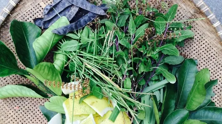 Trẻ Sơ Sinh Nên Tắm Lá Gì Mát Da