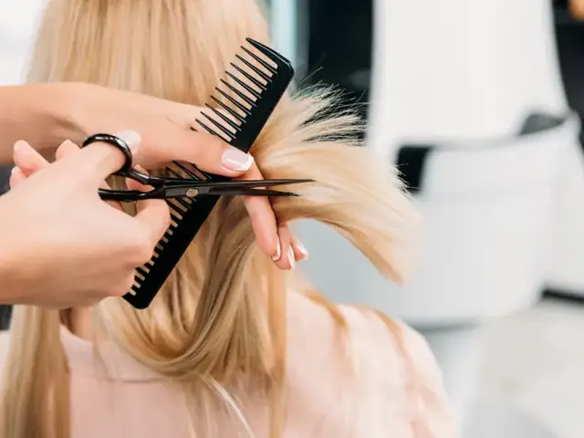 Cắt Tỉa Phần Ngọn Bị Chẻ Ngọn