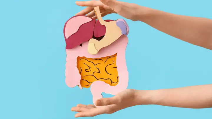 Hỗ Trợ Hệ Vi Sinh Đường Ruột Và Tiêu Hóa