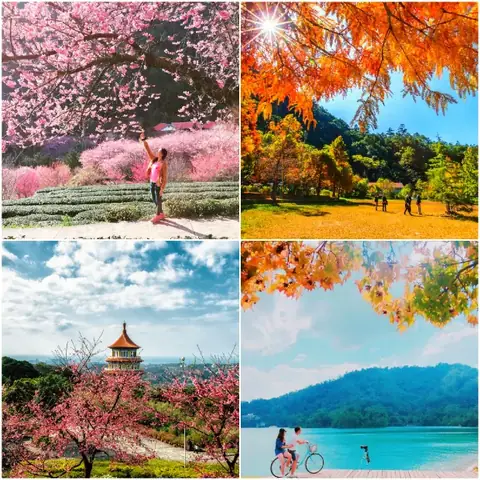 Lựa Chọn Thời Điểm Du Lịch Tối Ưu Nhất Lựa Chọn Thời Điểm Du Lịch Tối Ưu Nhất