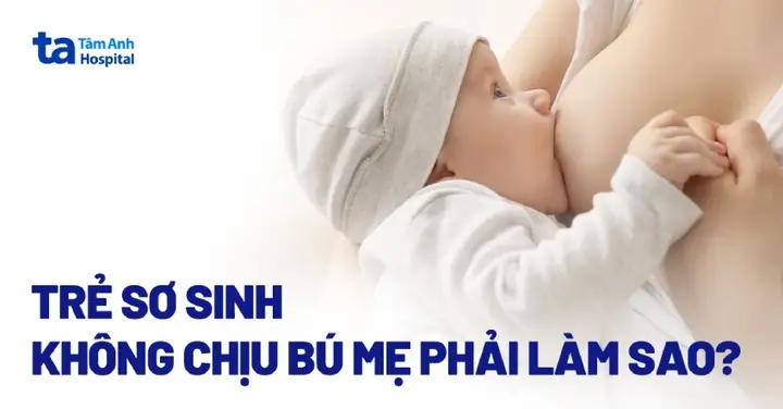 Trẻ Sơ Sinh Không Chịu Bú Mẹ Phải Làm Sao? Nguyên Nhân Là Gì? Trẻ Sơ Sinh Không Chịu Bú Mẹ Phải Làm Sao? Nguyên Nhân Là Gì?