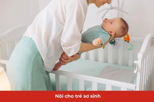 Có Nên Dùng Nôi Cho Em Bé? Cách Chọn Nôi Cho Trẻ Sơ Sinh