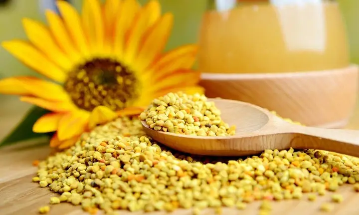 Hướng Dẫn Cách Sử Dụng Phấn Hoa Để Đạt Hiệu Quả Tốt Nhất Hướng Dẫn Cách Sử Dụng Phấn Hoa Để Đạt Hiệu Quả Tốt Nhất