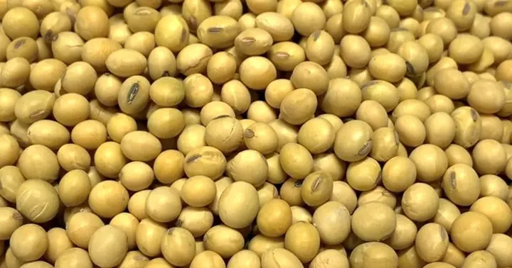 Uống Sữa Đậu Nành Lúc Nào Tốt Cho Thải Độc Gan Uống Sữa Đậu Nành Lúc Nào Tốt Cho Thải Độc Gan