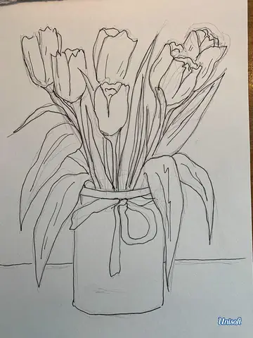 Vẽ Hoa Tulip Bằng Bút Chì