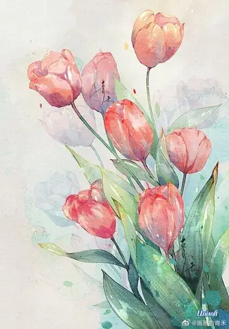 Vẽ Hoa Tulip Bằng Bút Chì