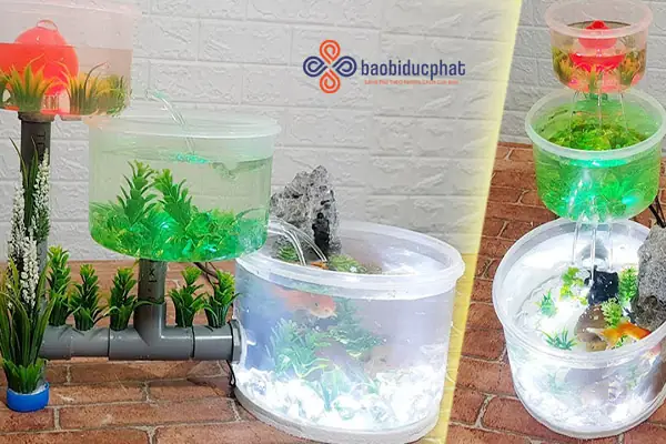 Ý Tưởng Sáng Tạo Làm Bể Thủy Sinh Từ Chai Nhựa Cũ