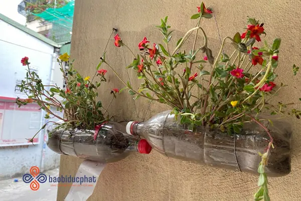 Làm Chậu Hoa