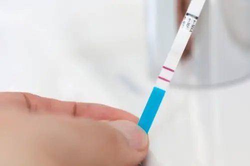 Chiêm Ngưỡng Những Hình Ảnh Que Thử Thai 2 Vạch