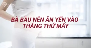 Bà Bầu Nên Ăn Yến Vào Tháng Thứ Mấy Để An Toàn Và Hấp Thu Tốt Nhất ...