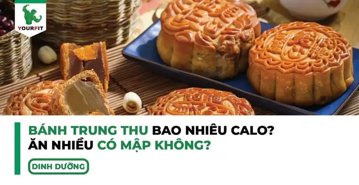 Bánh Trung Thu Bao Nhiêu Calo, Ăn Nhiều Có Mập Không? – Yourfit ...