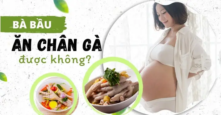 Bà Bầu Ăn Chân Gà Được Không?