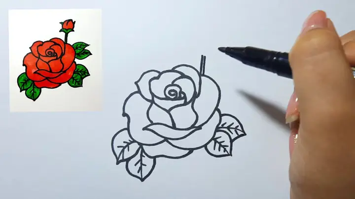 Có Những Bước Nào Cần Thiết Để Vẽ Một Bông Hoa Hồng Đẹp?