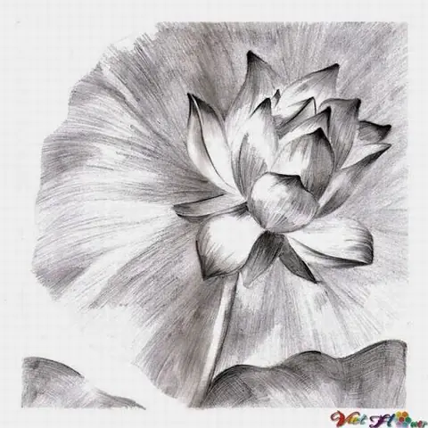 Có Những Kỹ Thuật Vẽ Nào Giúp Đem Lại Độ Thật Và Đẹp Cho Bông Hoa Hồng?