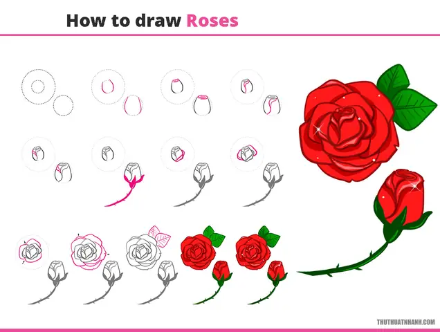 Có Những Kỹ Thuật Vẽ Nào Giúp Đem Lại Độ Thật Và Đẹp Cho Bông Hoa Hồng?