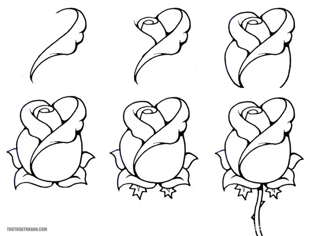 Có Những Kỹ Thuật Vẽ Nào Giúp Đem Lại Độ Thật Và Đẹp Cho Bông Hoa Hồng?