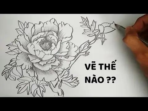 Có Những Kỹ Thuật Vẽ Nào Giúp Đem Lại Độ Thật Và Đẹp Cho Bông Hoa Hồng?