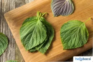 Xông Mặt Bằng Lá Tía Tô Có Tác Dụng Gì? 4 Cách Xông Sạch Mụn •