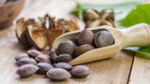 Hạt Sachi: Công Dụng, Cách Dùng Và Lưu Ý Khi Sử Dụng