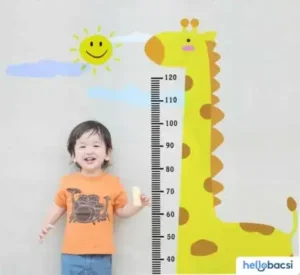 Chiều Cao Cân Nặng Bé Trai, Bé Gái Từ 0-18 Tuổi Theo Who • Hello Bacsi