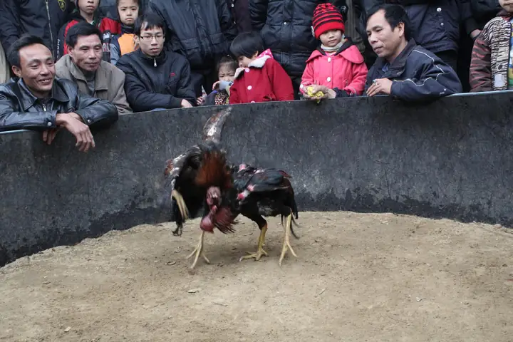 Chuẩn Bị Đón Tết, Từ Đầu Tháng Chạp, Các Bô Lão Trong Làng Lại Họp Bàn Chuẩn Bị Các Sinh Hoạt Văn Hóa Cộng Đồng. Và Trò Chơi Dân Gian Là Phần Không Thể Thiếu. Việc Cần Sức Khỏe Các Cụ Mời Hội Thanh Niên Trái Tráng Trong Làng Để Phân Công Nhiệm Vụ. Xưa Cũng Thế, Mà Nay Cũng Vậy.