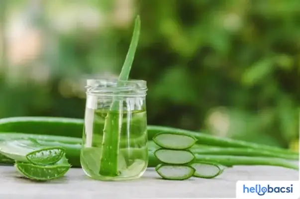 Bà Bầu Ăn Nha Đam Được Không? Đọc Ngay Để Tránh Nguy Hiểm Cho ...