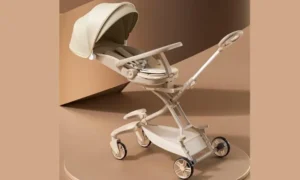 Xe Đẩy 2 Chiều Cho Bé - Đồng Hành Cùng Mẹ Trên Mọi Nẻo Đường