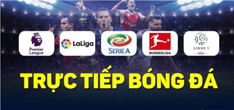 Nếu bạn thấy trải nghiệm xem VTV6 thú vị, hãy chia sẻ với bạn bè và người thân