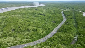 Cần Giờ – Địa Điểm Vui Chơi Cho Gia Đình Gần Sài Gòn Siêu Chill