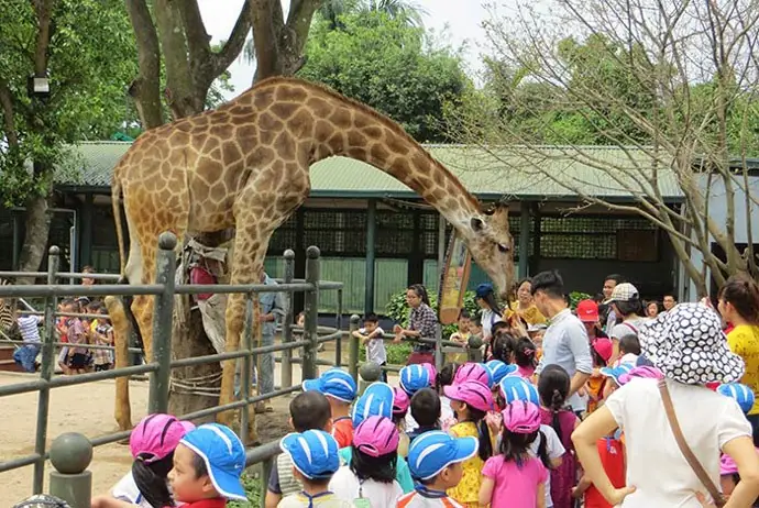 Công Viên Thủ Lệ - Khu Vui Chơi Trẻ Em Gần Đây Nên Cho Bé Ghé Thăm Công Viên Thủ Lệ - Khu Vui Chơi Trẻ Em Gần Đây Nên Cho Bé Ghé Thăm