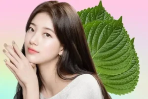 Đắp Mặt Nạ Bằng Lá Tía Tô Ngăn Ngừa Lão Hoá