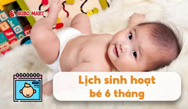 Lịch Sinh Hoạt Bé 6 Tháng Khoa Học Giúp Mẹ Nhàn, Con Ngoan - Cẩm ...