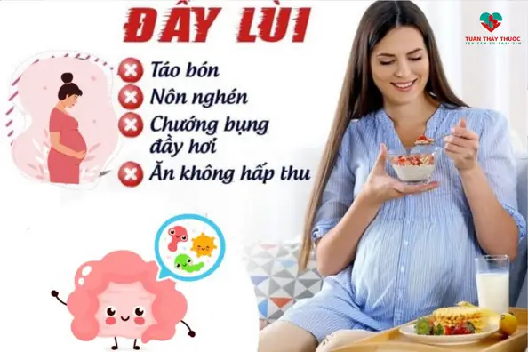Cách Dùng Men Vi Sinh Cho Bà Bầu