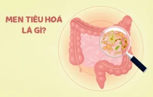Men Tiêu Hoá Cho Trẻ Là Gì? Men Tiêu Hoá Và Men Vi Sinh Có Gì Khác ...