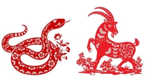 Năm 2025 Hợp Với Tuổi Nào, Màu Nào?