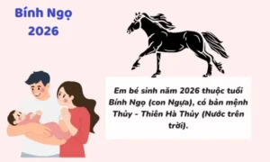 Con Sinh Năm 2026 Hợp Với Bố Mẹ Tuổi Gì? Sinh Tháng Nào Tốt ...